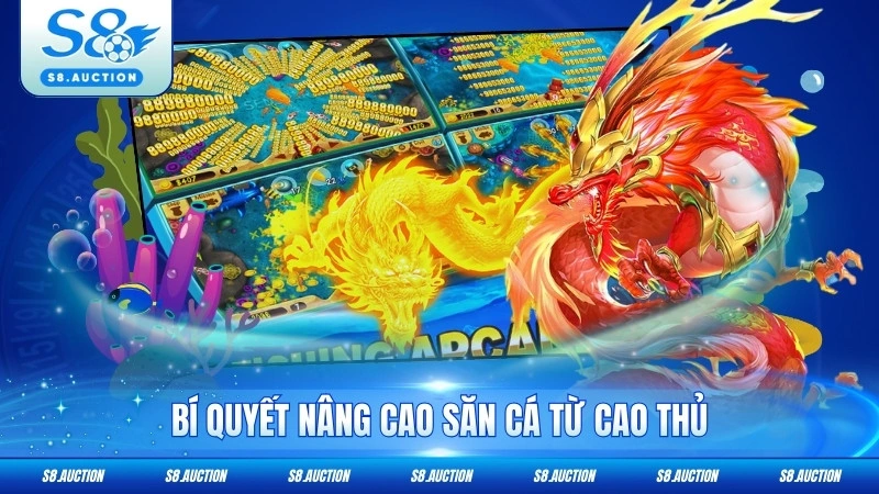 Bí quyết nâng cao săn cá từ cao thủ